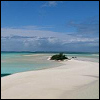 Tropical Paradise