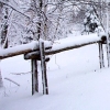 Winter2