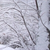 Winter3
