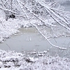 Winter4