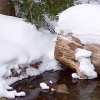 Winter5