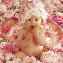 baby40