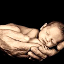 baby8