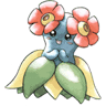 Bellossom