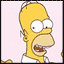 Homer2
