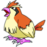 Pidgey