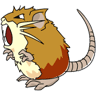 Raticate