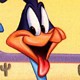 Roadrunner Happy