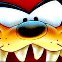 Tazs Face Closeup