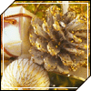 christmas avatar 038
