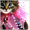colorful avatar 020
