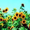 colorful avatar 025