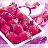 colorful avatar 035