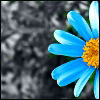 colorful avatar 065