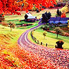 colorful avatar 086