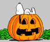 Snoopy Pumpkin