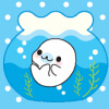 cute67