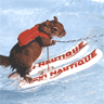 Squirrel Waterskiing