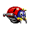 Beetle