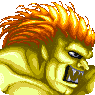 Blanka Portrait