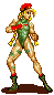 Cammy