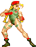 Cammy2