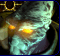Carriers Face
