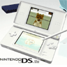 DS Lite