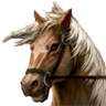Epona