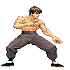 Fei Long stance
