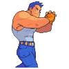 Max mechanic
