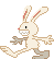 Max rabbit walk