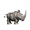 Rambi
