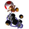 Super Mario Kart Toadstool