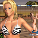 Volleyball 29_2