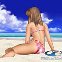 Volleyball 31_2