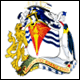 3D British Antarctic Territory Flag