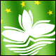 3D Macao Flag