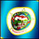 3D Minnesota Flag