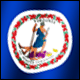3D Virginia Flag