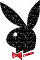 Glitter bunny