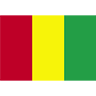 Guinea Flag
