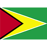 Guyana Flag transparent