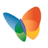 MSN Logo