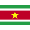Suriname Flag