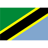 Tanzania Flag