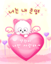 love heart 637