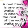 message 258