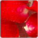 avatar322