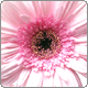 avatar324